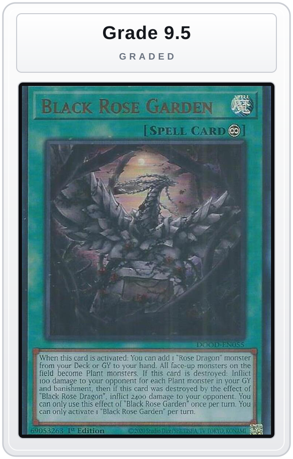 Graded - Black Rose Garden — Grade 9.5 graded overlay