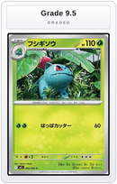 Graded - Ivysaur - 002/063 — Grade 9.5 graded overlay