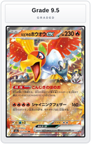 Graded - Ethan's Ho-Oh ex — Grade 9.5 graded overlay