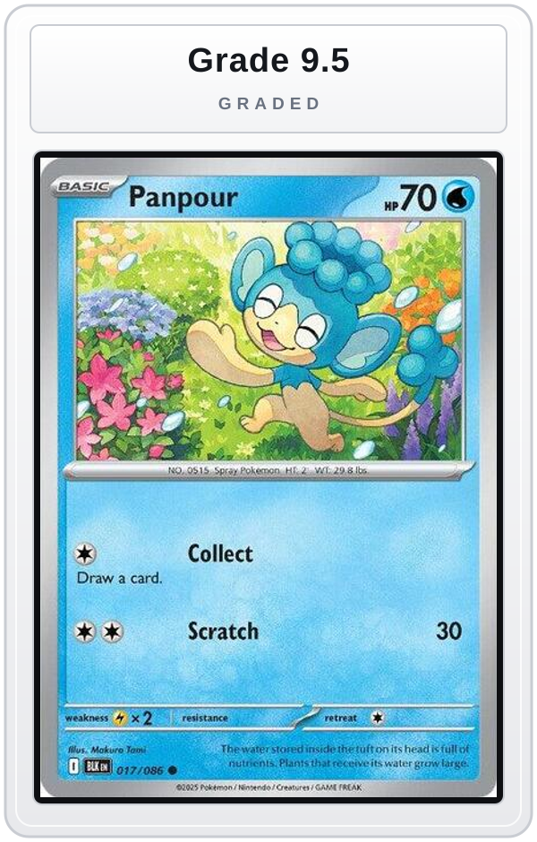 Graded - Panpour — Grade 9.5 graded overlay