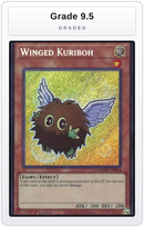 Graded - Winged Kuriboh — Grade 9.5 graded overlay