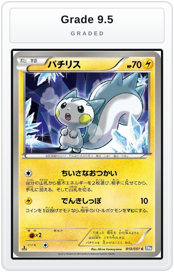 Graded - Pachirisu — Grade 9.5 graded overlay