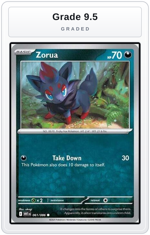 Graded - Zorua — Grade 9.5 graded overlay