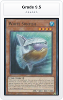 Graded - White Sunfish — Grade 9.5 graded overlay