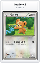 Graded - Teddiursa — Grade 9.5 graded overlay