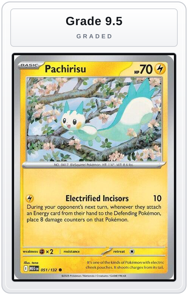 Graded - Pachirisu — Grade 9.5 graded overlay