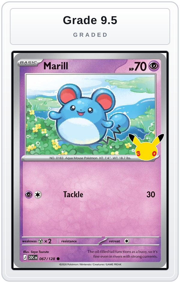 Graded - Marill — Grade 9.5 graded overlay