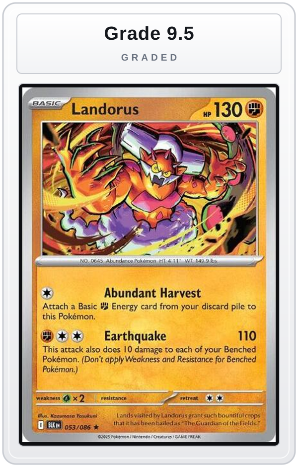 Graded - Landorus — Grade 9.5 graded overlay