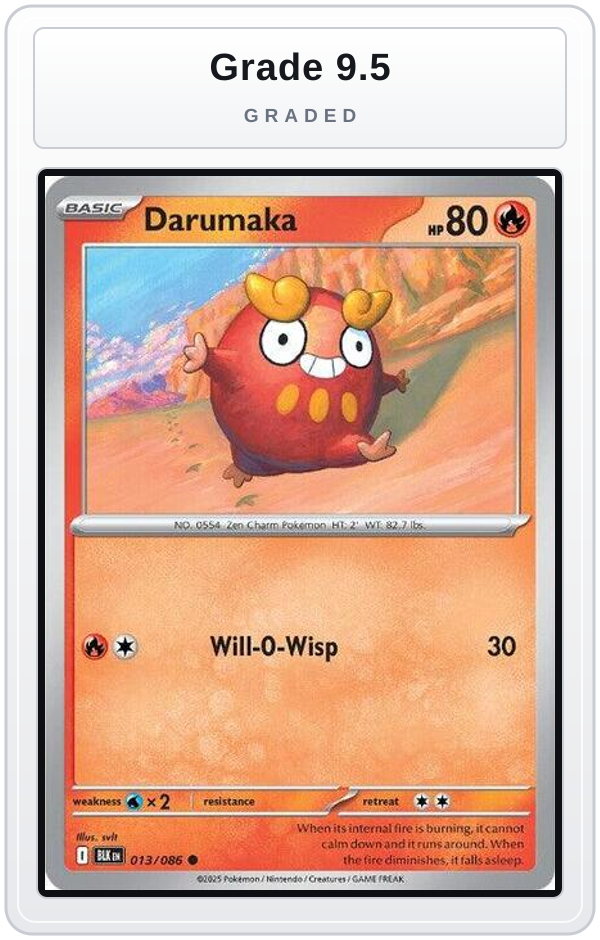 Graded - Darumaka — Grade 9.5 graded overlay