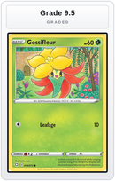 Graded - Gossifleur — Grade 9.5 graded overlay