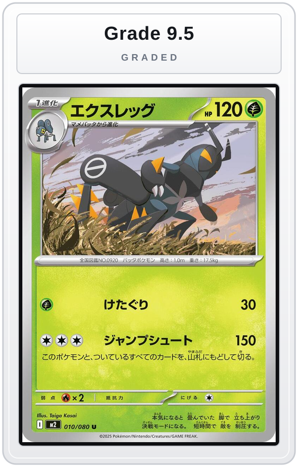 Graded - Lokix — Grade 9.5 graded overlay