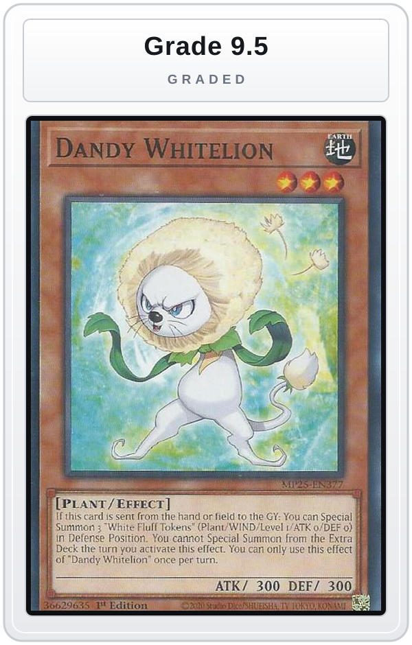Graded - Dandy Whitelion — Grade 9.5 graded overlay