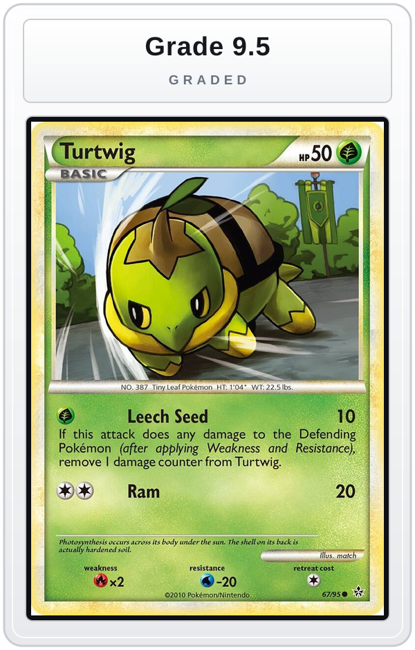 Graded - Turtwig — Grade 9.5 graded overlay