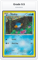 Graded - Mudkip - 5/12 — Grade 9.5 graded overlay