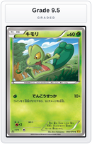 Graded - Treecko — Grade 9.5 graded overlay