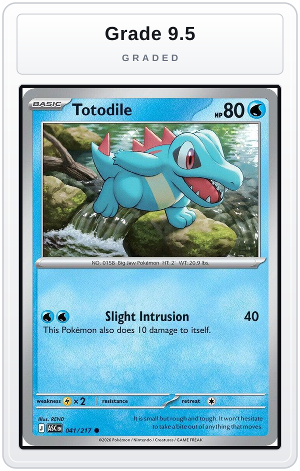 Graded - Totodile — Grade 9.5 graded overlay