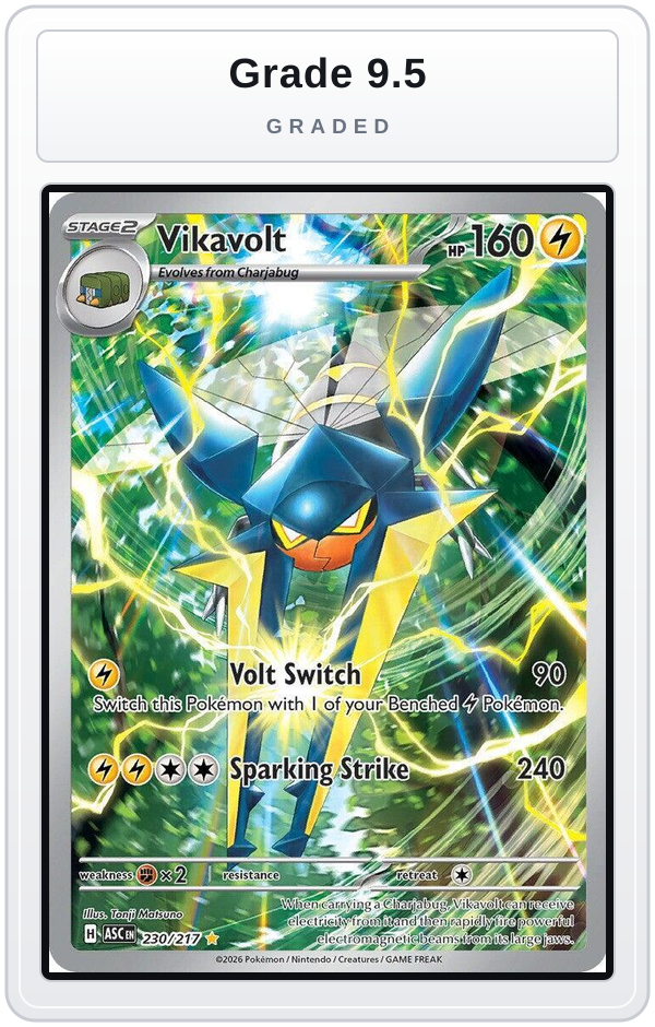 Graded - Vikavolt - 230/217 — Grade 9.5 graded overlay