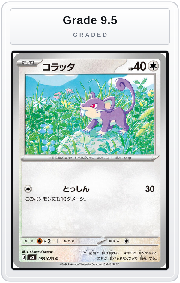Graded - Rattata — Grade 9.5 graded overlay
