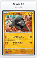 Graded - Paldean Tauros — Grade 9.5 graded overlay