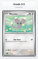 Graded - Minccino — Grade 9.5 graded overlay