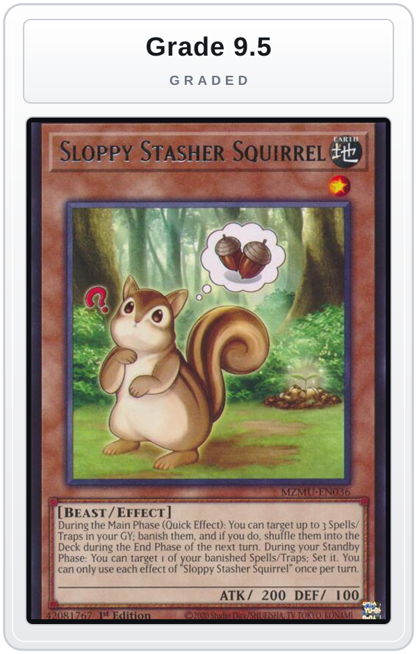Graded - Sloppy Stasher Squirrel — Grade 9.5 graded overlay
