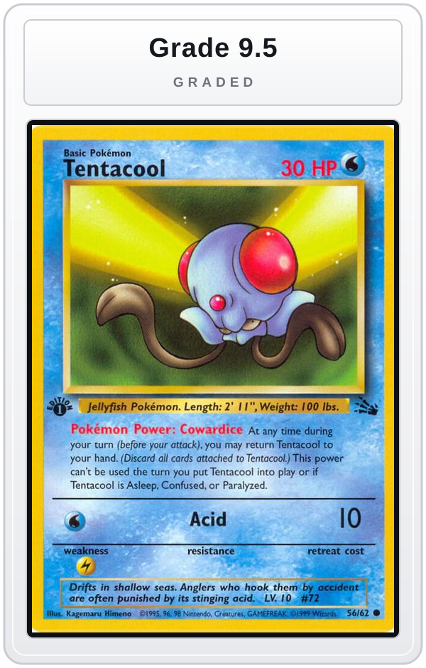 Graded - Tentacool — Grade 9.5 graded overlay