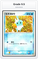 Graded - Mudkip - 002/019 — Grade 9.5 graded overlay