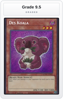Graded - Des Koala — Grade 9.5 graded overlay