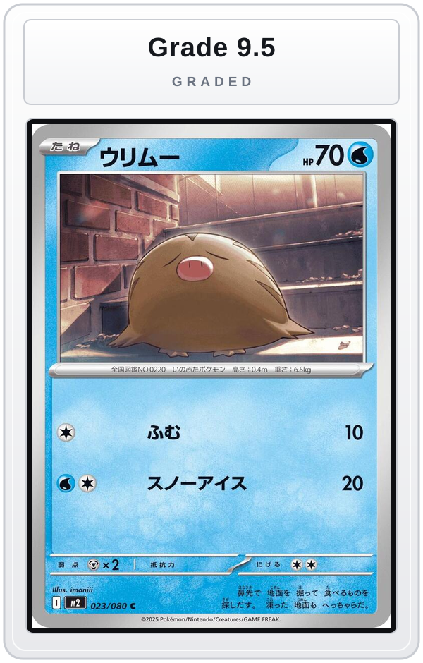 Graded - Swinub — Grade 9.5 graded overlay