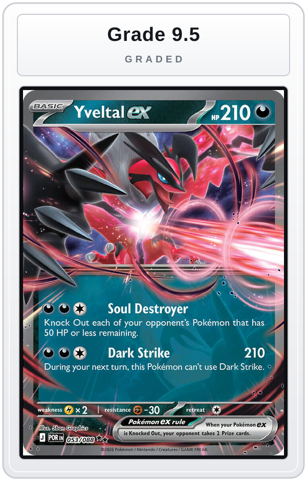 Graded - Yveltal ex - 053/088 — Grade 9.5 graded overlay