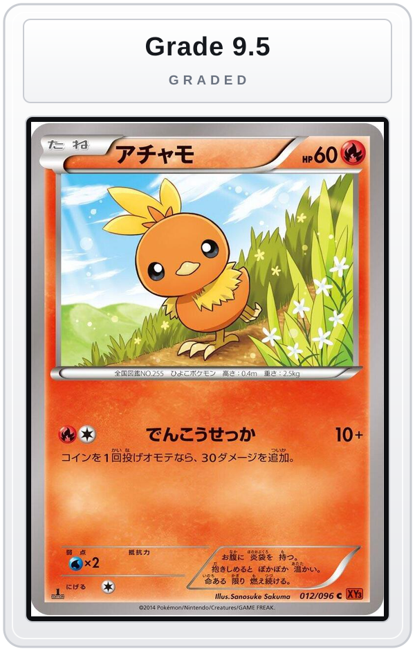 Graded - Torchic — Grade 9.5 graded overlay