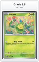 Graded - Budew - 016/217 — Grade 9.5 graded overlay