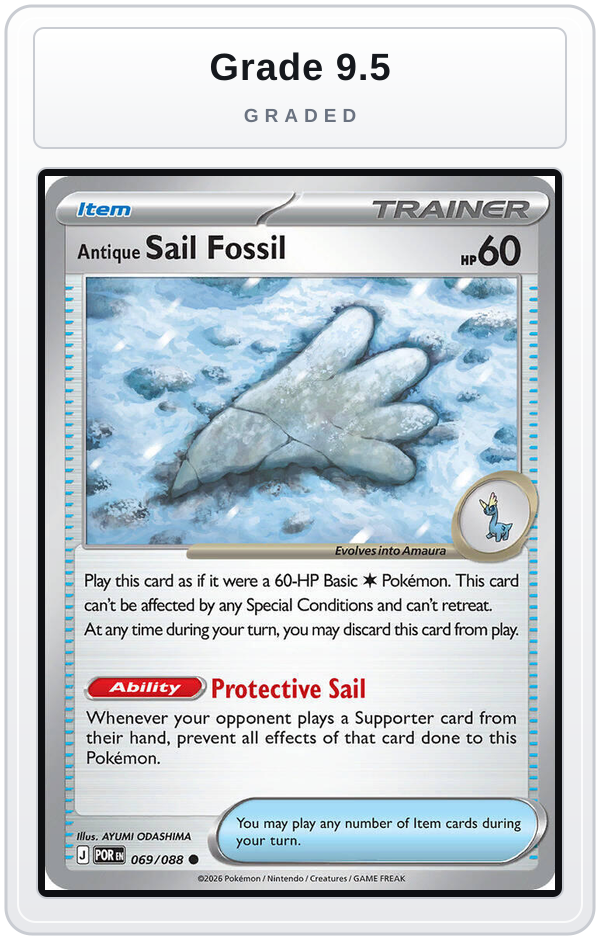 Graded - Antique Sail Fossil — Grade 9.5 graded overlay