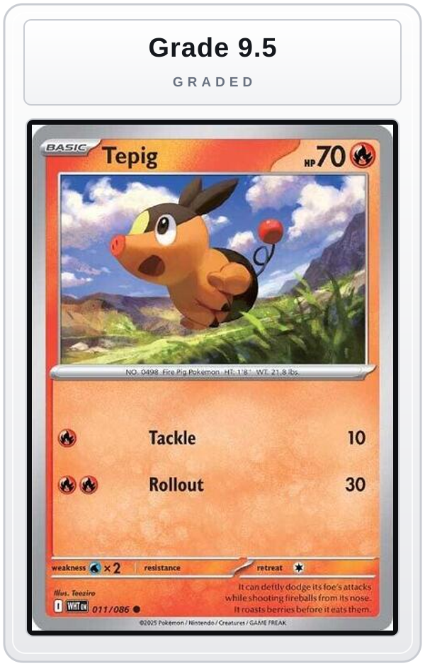 Graded - Tepig — Grade 9.5 graded overlay