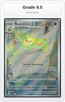 Graded - Reuniclus - 212 — Grade 9.5 graded overlay