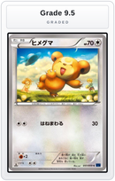 Graded - Teddiursa — Grade 9.5 graded overlay