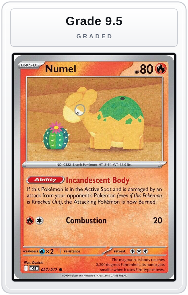 Graded - Numel - 027/217 — Grade 9.5 graded overlay