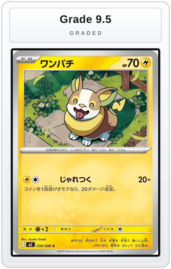 Graded - Yamper - 030/080 — Grade 9.5 graded overlay
