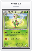 Graded - Breloom — Grade 9.5 graded overlay