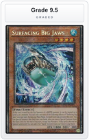 Graded - Surfacing Big Jaws — Grade 9.5 graded overlay