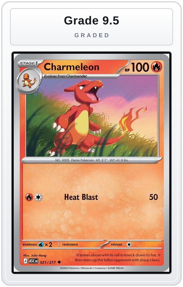 Graded - Charmeleon — Grade 9.5 graded overlay