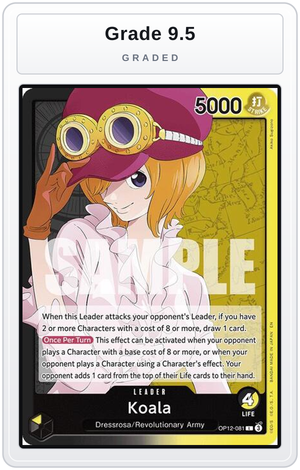 Graded - Koala (081) — Grade 9.5 graded overlay