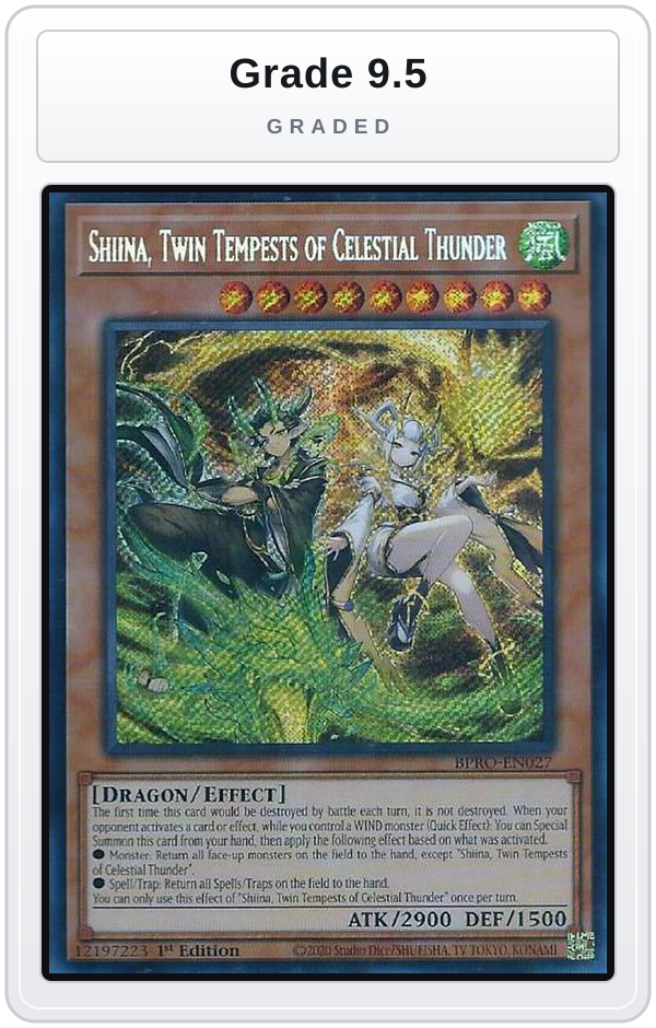 Graded - Shiina, Twin Tempests of Celestial Thunder — Grade 9.5 graded overlay