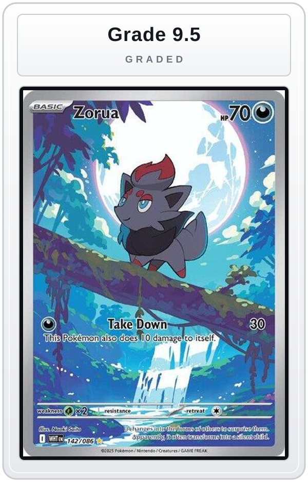 Graded - Zorua - 142/086 — Grade 9.5 graded overlay