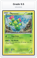 Graded - Maractus - 2/12 — Grade 9.5 graded overlay