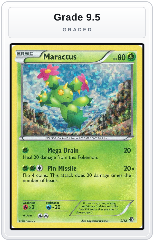 Graded - Maractus - 2/12 — Grade 9.5 graded overlay