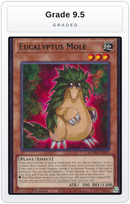 Graded - Eucalyptus Mole — Grade 9.5 graded overlay