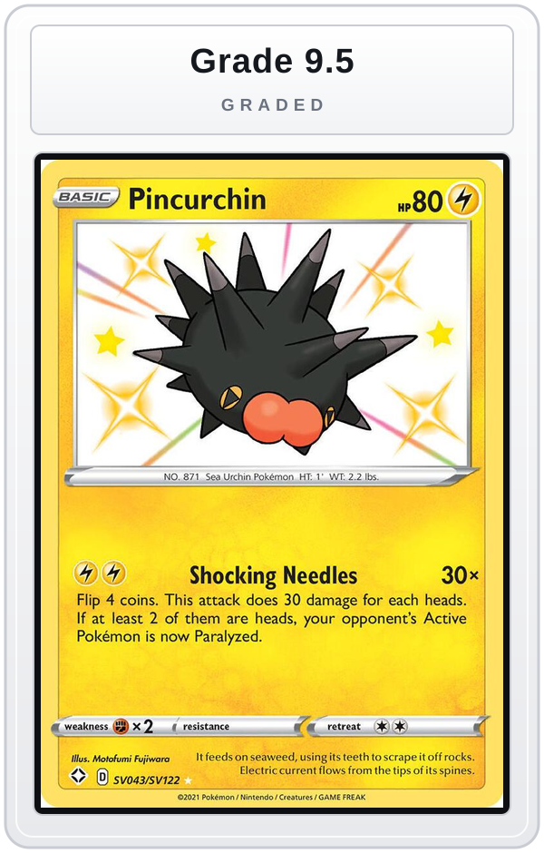 Graded - Pincurchin — Grade 9.5 graded overlay