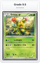 Graded - Maractus — Grade 9.5 graded overlay