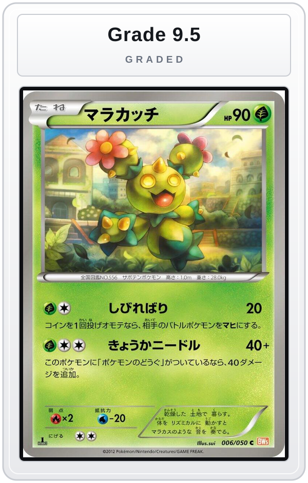 Graded - Maractus — Grade 9.5 graded overlay